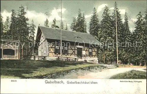 Gabelbach Thueringen Gabelbachhaeuschen Kat. Langewiesen