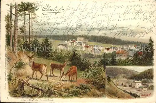 Oberhof Thueringen Panorama Wild  Kat. Oberhof Thueringen