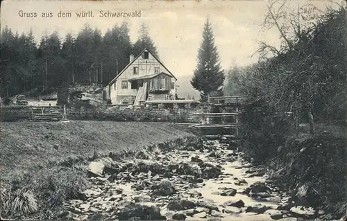 Schwarzwald Haus  Kat. Regionales