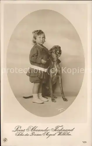 Adel Preussen Prinz Alexander Ferdinand Hund Kat. Koenigshaeuser