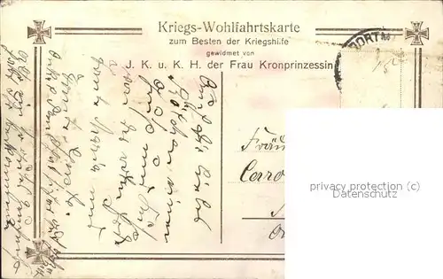 Adel Preussen Soehne des Kronprinzenpaares in Feldgrau Kat. Koenigshaeuser