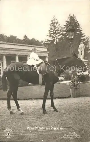 Pferde Prinz Wilhelm von Preussen Kat. Tiere