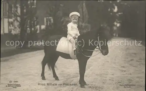 Pony Tiere Prinz Wilhelm von Preussen  Kat. Tiere