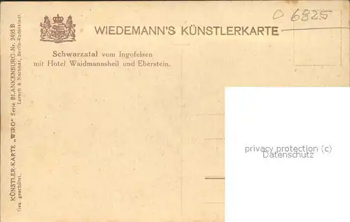 Verlag WIRO Wiedemann Nr. 2495 B Schwarzatal Hotel Waidmannsheil Eberstein Kat. Verlage