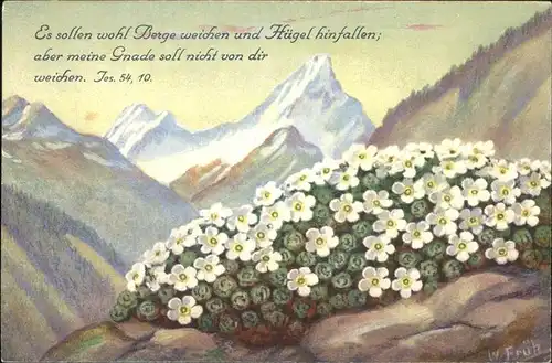 Kuenstlerkarte W. Frueh Nr. 630 Schweizer Mannsschild Kat. Kuenstlerkarte