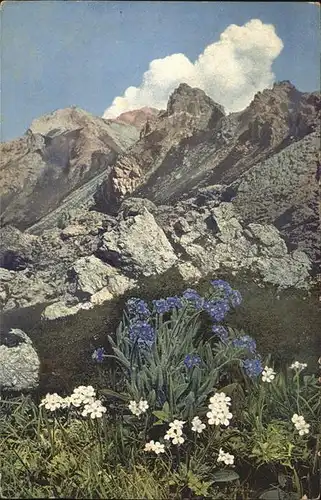 Verlag Photochromie Nr. 947 Myosotis alpestris Kat. Verlage