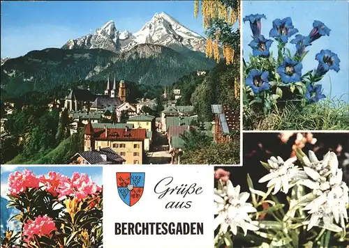 Blumen Edelweiss Enzian Berchtesgaden Kat. Pflanzen