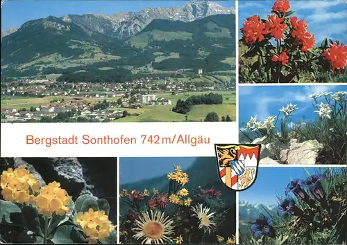 Edelweiss Enzian Alpenblumen Sonthofen  Kat. Pflanzen