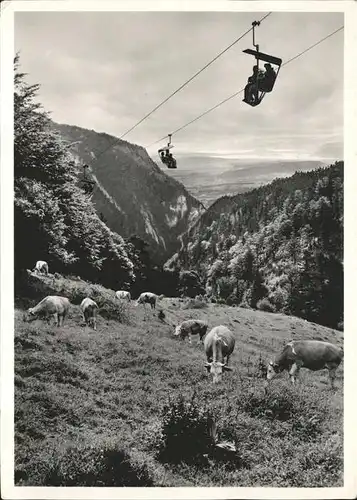 Sessellift Weissenstein Kuehe  Kat. Bahnen