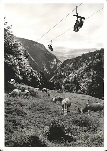 Sessellift Weissenstein Seeland Kuehe Kat. Bahnen