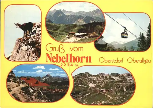 Gemse Seilbahn Nebelhorn Oberstdorf  Kat. Tiere