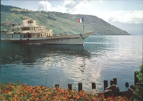 Dampfer Seitenrad Italie Lac Leman  Kat. Schiffe