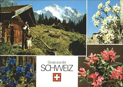 Alphorn Alpenblumen Edelweiss Enzian Kat. Musik