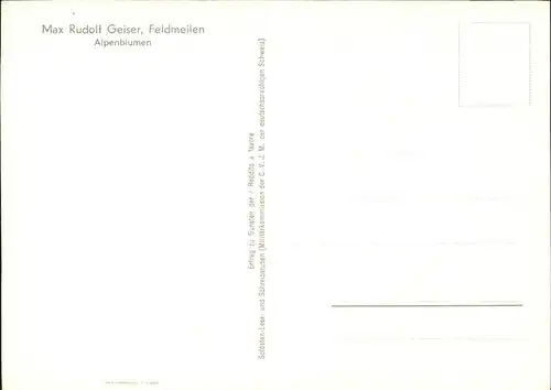 Kuenstlerkarte Max Rudolf Geiser Alpenblumen  Kat. Kuenstlerkarte