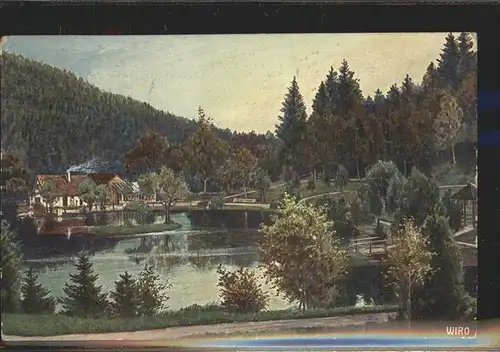 Verlag WIRO Wiedemann Nr. 2452 Triberg Bergsee  Kat. Verlage