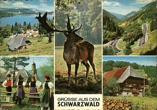 Schwarzwald mit Schwarzwaldhaus u.Trachten Kat. Regionales