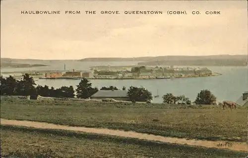 Queenstown Haulbowline From the Grove Kat. Wandsworth