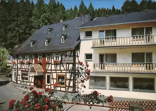 Marienthal Westerwald Waldhotel Imhaeuser Kat. Seelbach bei Hamm (Sieg)