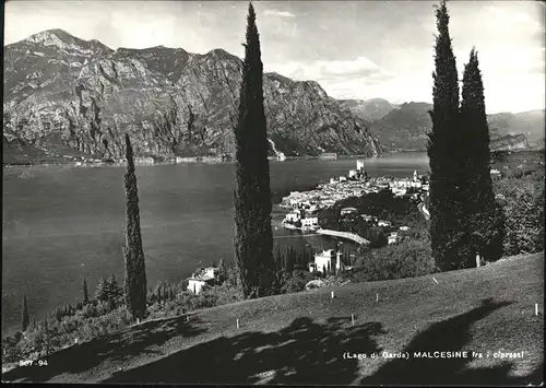 Malcesine Lago di Garda Veduta fra i cipressi Zypressen Kat. Malcesine