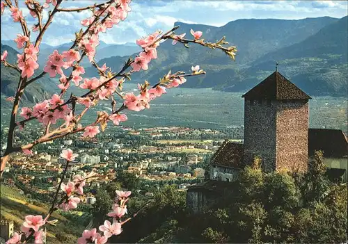 Merano Suedtirol Castel Tirolo Kat. Merano