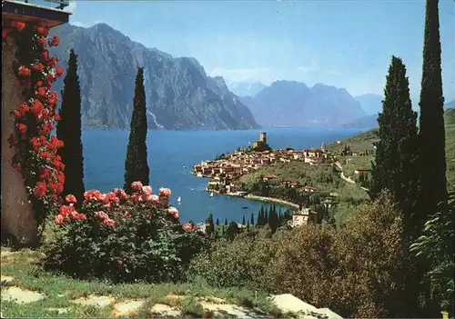 Malcesine Lago di Garda Panorama Kat. Malcesine