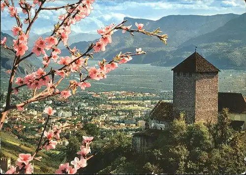 Merano Suedtirol mit Castel Tirolo Kat. Merano