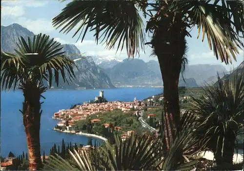 Malcesine Lago di Garda  Kat. Malcesine