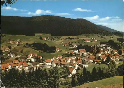 Baiersbronn Schwarzwald  Kat. Baiersbronn