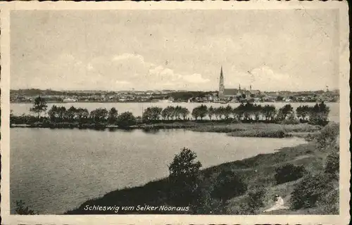 Schleswig Holstein vom Selker Nooraus / Schleswig /Schleswig-Flensburg LKR