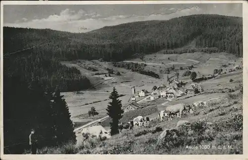 Aeule Panorama Kat. Schluchsee