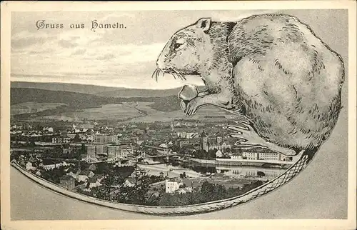 Hameln Panorama und Ratte Kat. Hameln