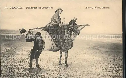 Berufe Krabbenfischer Pferd Ostende Crevettes Kat. Berufe