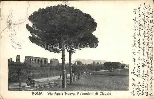 Baeume Trees Roma Via Appia Nuova Acquedotti di Claudio Kat. Pflanzen