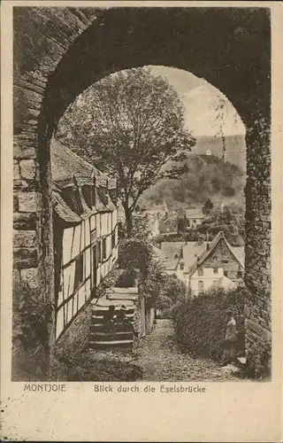 Montjoie Monschau Blick durch die Eselsbruecke /  /