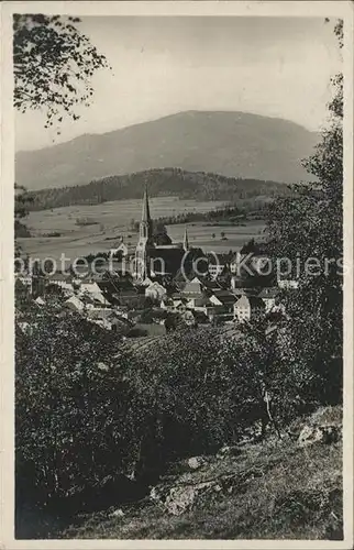 Zwiesel Niederbayern Falkenstein / Zwiesel /Regen LKR