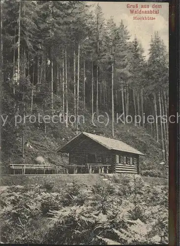 Falkenberg Oberpfalz Blockhuette Waldnaabtal Kat. Falkenberg