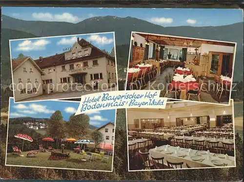 Bodenmais Hotel Bayerischer Hof Kat. Bodenmais