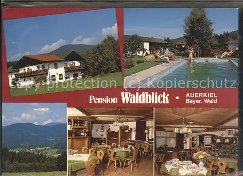 Auerkiel Viechtach Pension Waldblick Kat. Viechtach