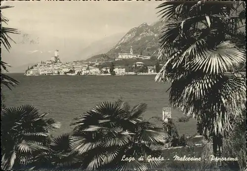 Malcesine Lago di Garda Panorama Kat. Malcesine