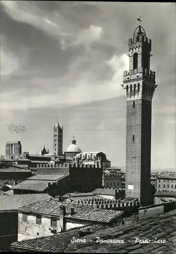 Siena Panorama Detail Kat. Siena