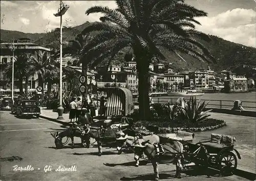 Rapallo Liguria Gli Asinelli Kat. Rapallo