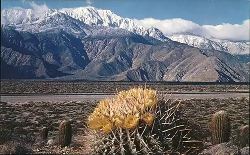 Santa Ana California Springtime contrast on the Desert Cactus Mountains Kat. Santa Ana