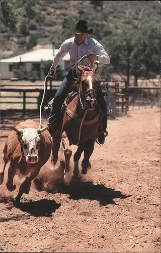 Phoenix Arizona Cowboy Kat. Phoenix