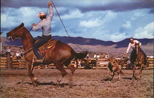 Rodeo California Calf roping Kat. Rodeo