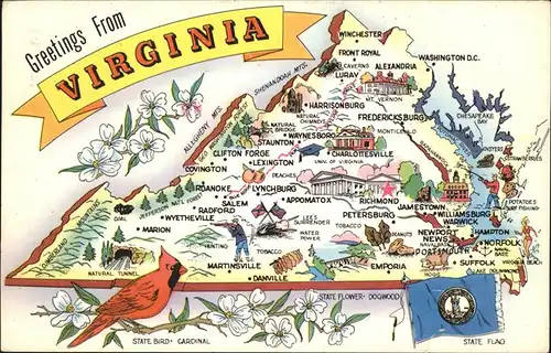 Richmond Virginia Map of the Virginia State "Old Dominion" State Bird Cardinal State Flower Dogwood Flag Kat. Richmond