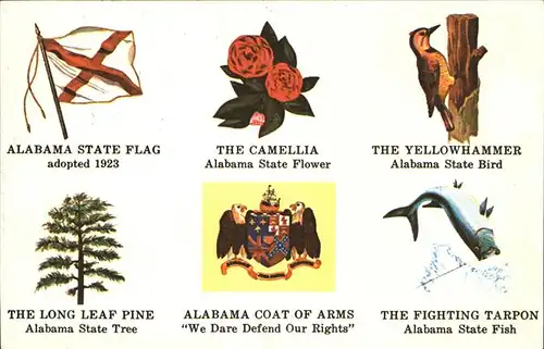 Montgomery Alabama "Cotton State" State Flag Flower Bird Tree Coat of Arms Fish Kat. Montgomery