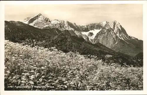 Garmisch Partenkirchen Bergpanorama mit Wiese Kat. Garmisch Partenkirchen