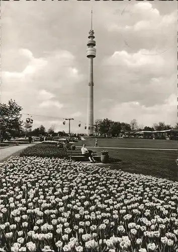 Dortmund Fernsehturm Tulpen Bundesgartenschau 1959 Kat. Dortmund