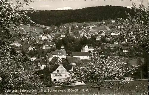 Baiersbronn Schwarzwald Panorama Kat. Baiersbronn