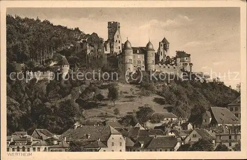 Wertheim Main mit Schlossruine Kat. Wertheim